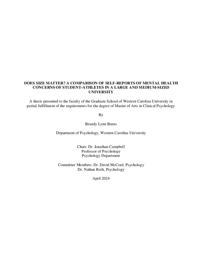 imagen representativa predeterminada