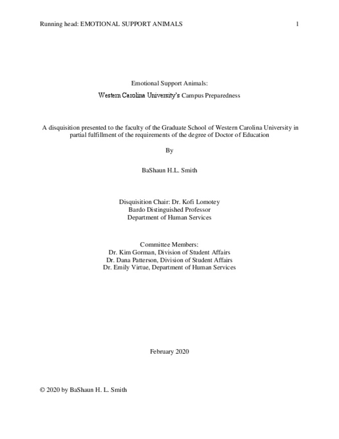 Default representative image