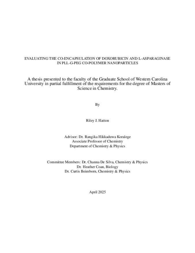 immagine rappresentativa predefinita