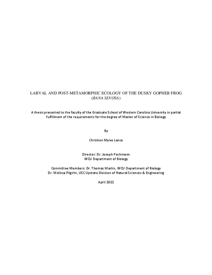 默认代表性图片