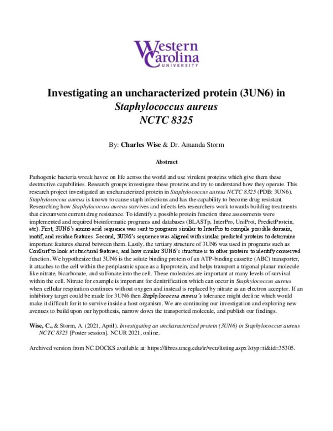 Investigating an uncharacterized protein (3UN6) in Staphylococcus aureus NCTC 8325